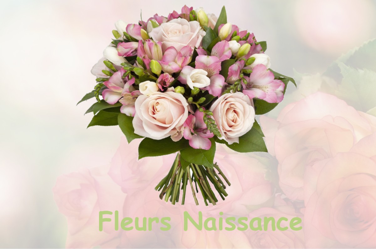 fleurs naissance POUBEAU