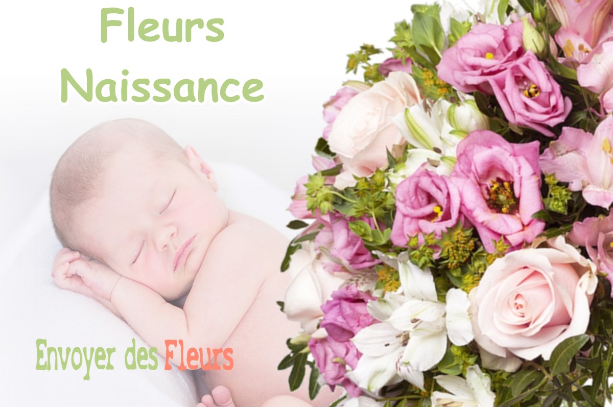 lIVRAISON FLEURS NAISSANCE à POUBEAU